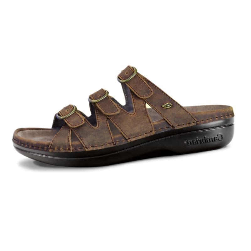 Cambrian Sylvan 3 Brown Medium Women's Slides